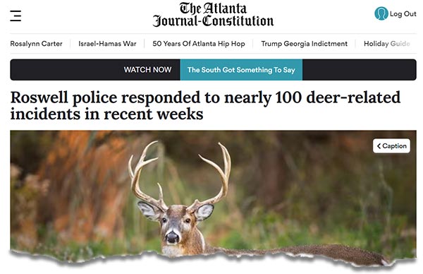 Roswell police respond to nearly 100 deer-related incidents in recent weeks