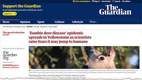 Zombie deer disease epidemic spreads in Yellowstone as scientists raise fears it may jump to humans