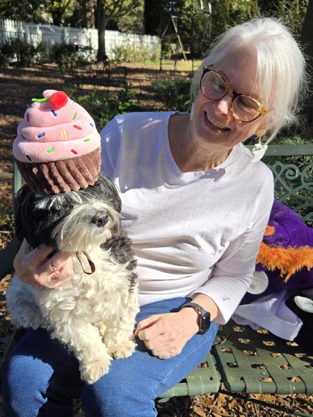 No means no except when it comes to cupcake hats