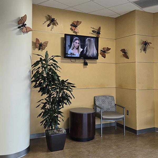 Doctor, I'm seeing giant bugs crawling on all the walls