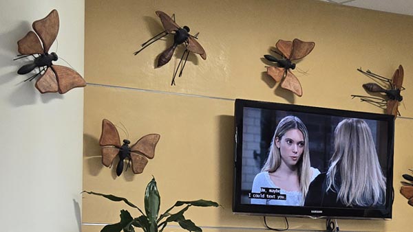 Then don't look at the walls