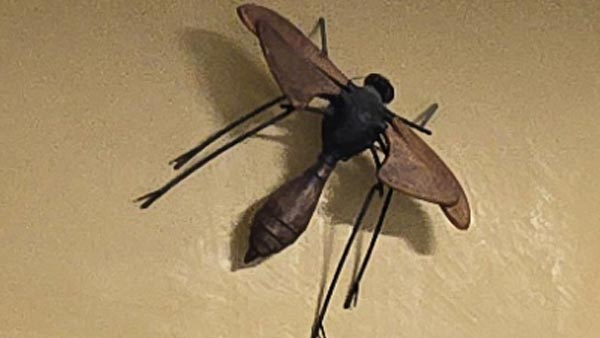 This is what happens when your kid spends too much time on their elementary school diorama on malaraia