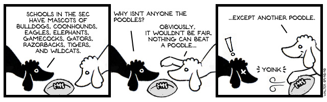 Football, Poodle Style
