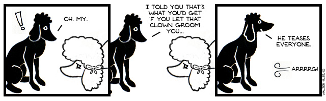 Poodles are a cut above other breeds.