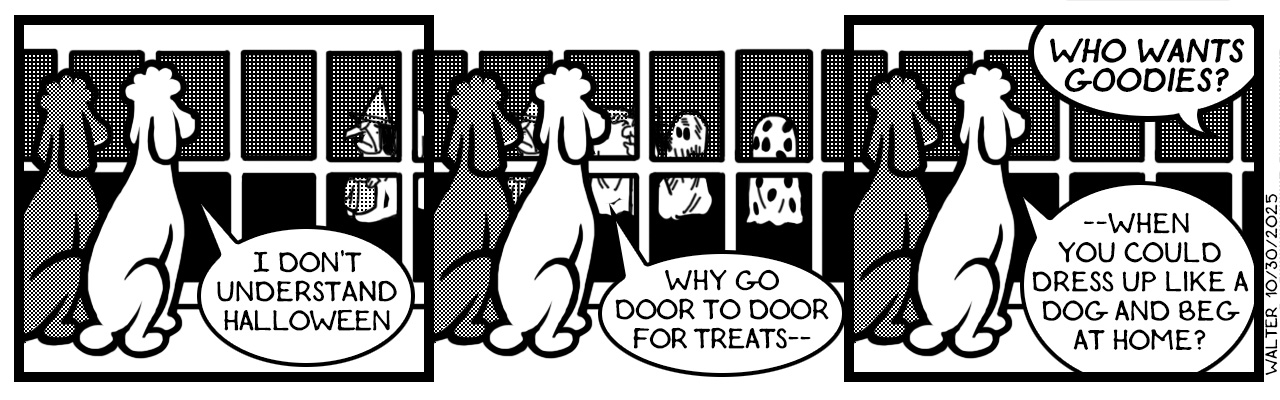 Maybe they just love rocks Maybe they just love rocks