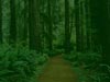 background3