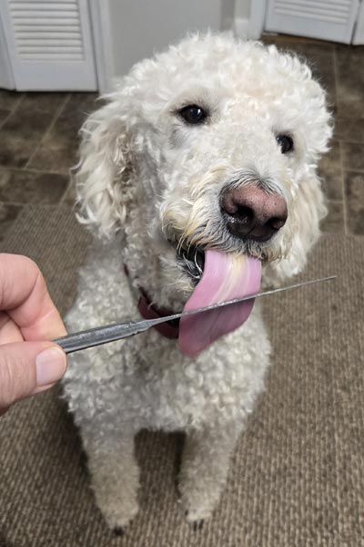 The best part of getting old is the snacks