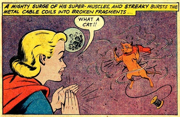 Hope Superman doesn't find out that Supergirl 'borrowed' that telephone cable for her cat to play with. He's such a square.