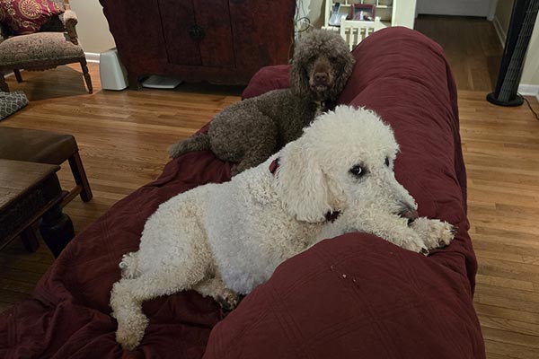 Nothing to see here Nothing to see here