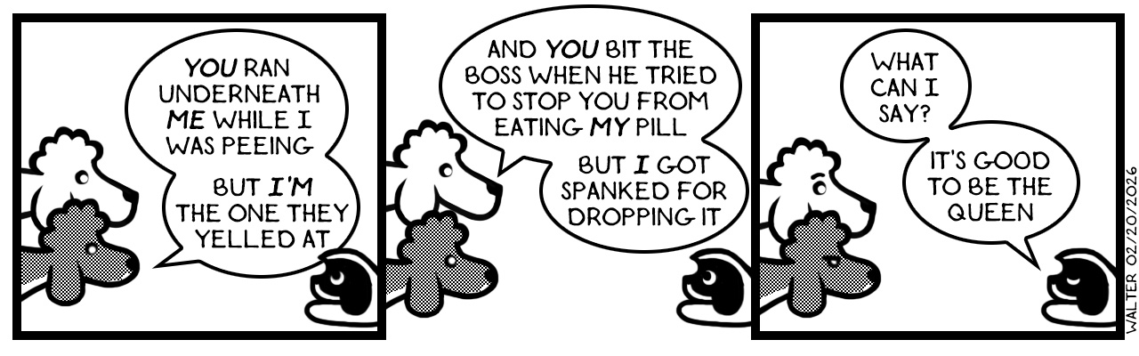 There'd be so much more trouble if she was tall enough to reach the countertop