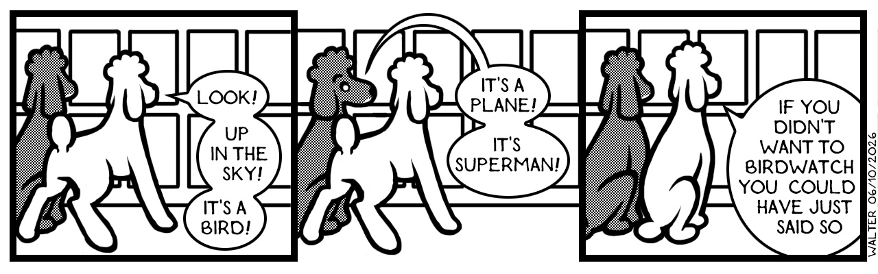 A flying man? Don't be ridiculous. A flying man? Don't be ridiculous.